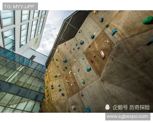 攀岩战术解析：上海攀岩队中路突破策略与实战应用探讨