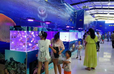 海狮表演海洋生物展 南昌活动策划